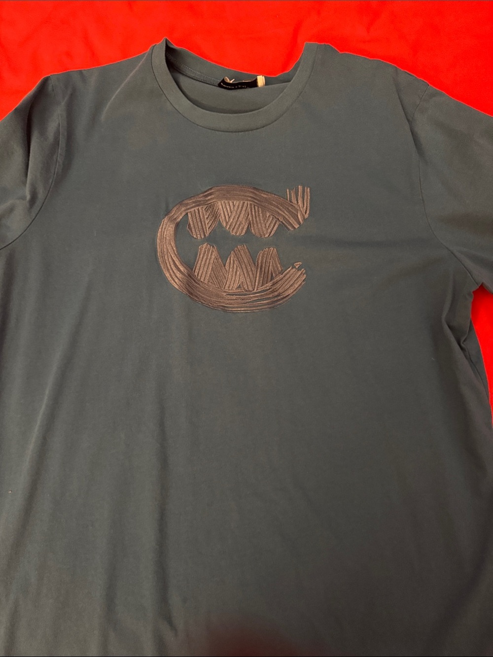Coach x Guang Yu LIMITED EDITION Dark Teal Short Sleeve Graphic Crewneck Tee